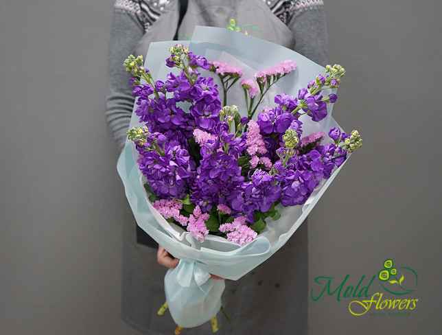 Букет из фиолетовых маттиол Фото